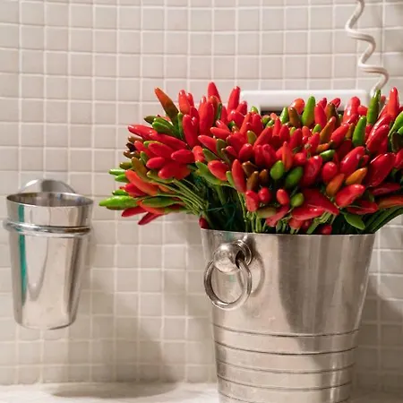 San Marco 1658 דירה ונציה