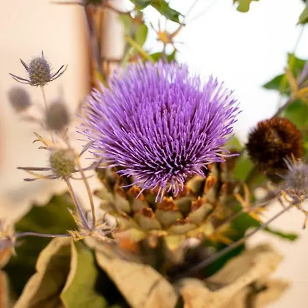 San Marco 1658 Appartement *