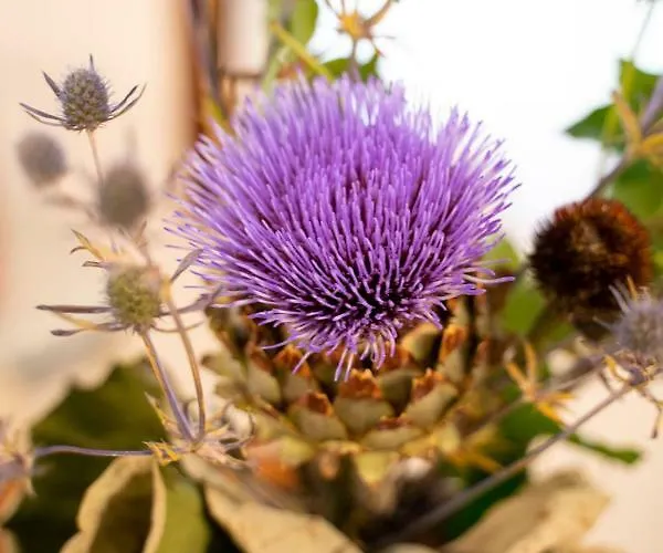 San Marco 1658 Appartement *